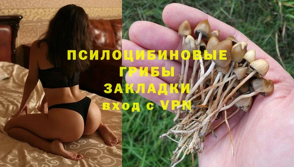 мескалин Аркадак